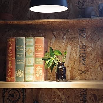 ※ yatchさま専用　PlantsNEXLIGHT ホワイト 3個セット Amazon.co.jp: PLANTS NEXLIGHT ホワイト WHITE プランツネクス